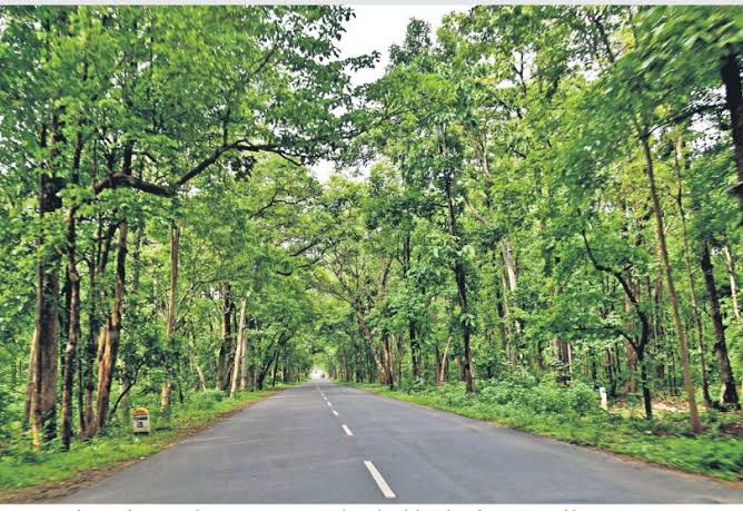Eturnagaram Wildlife Sanctuary